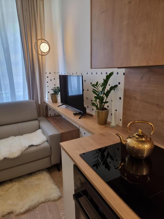 Apartma Larisa Apartment *