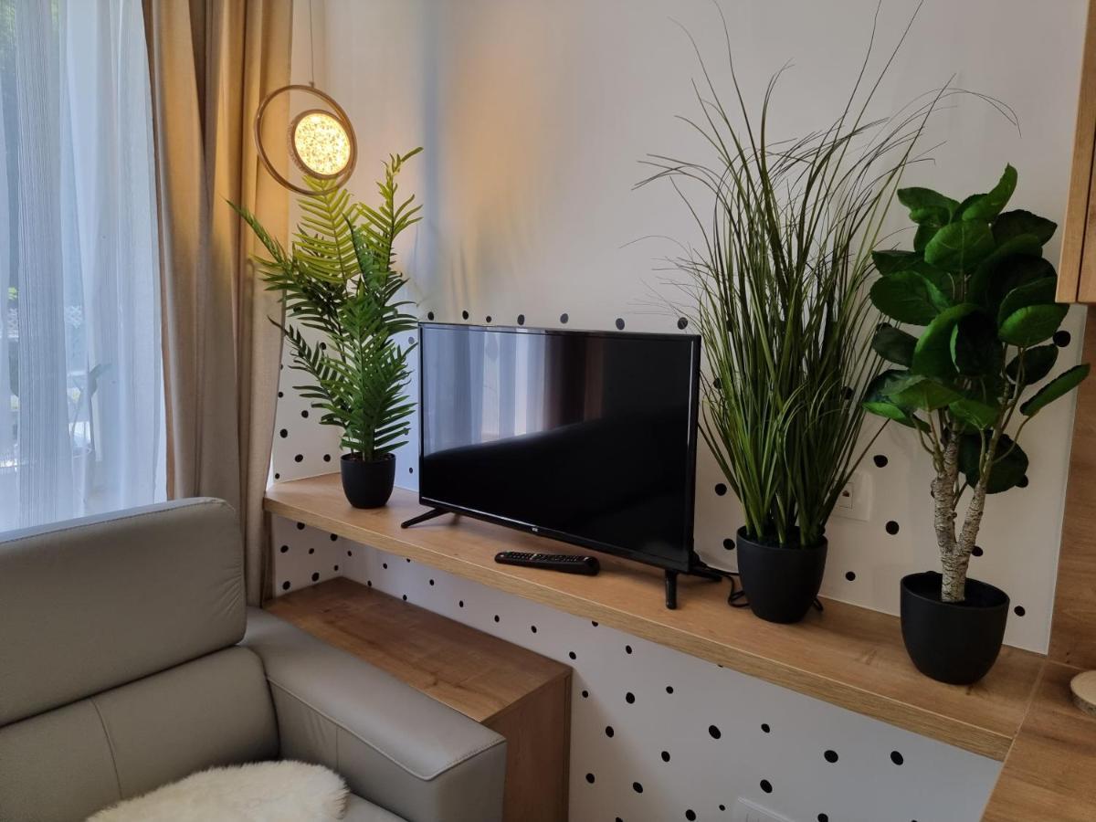 Apartment Apartma Larisa Bled